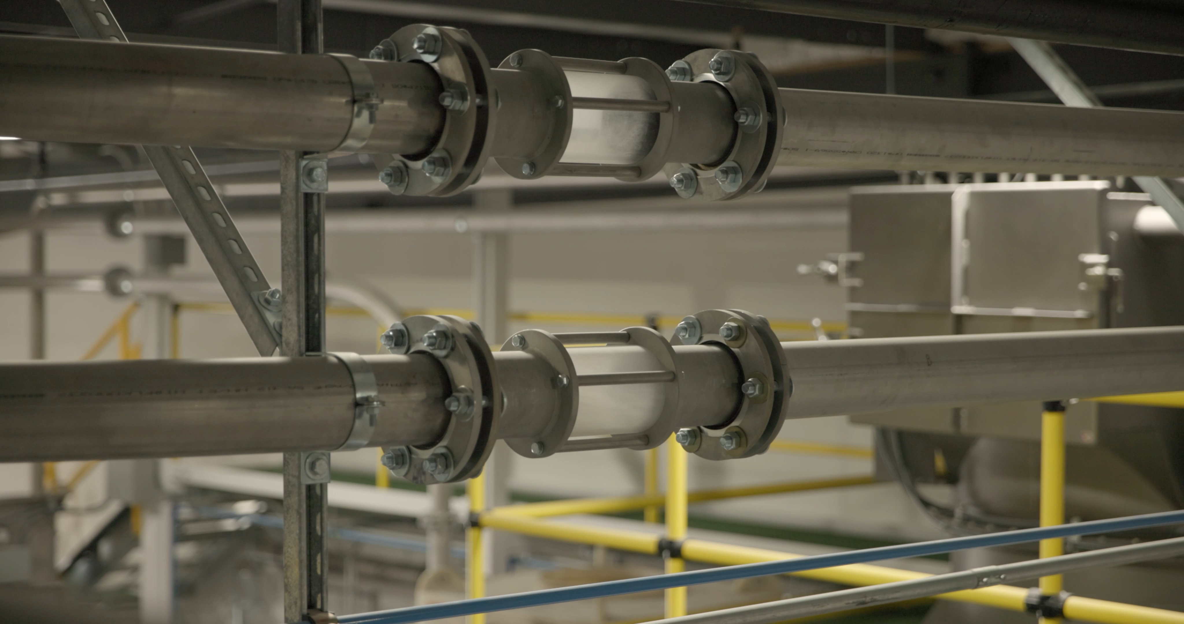 Solving Separation and Segregation Issues in Pet Food Blends